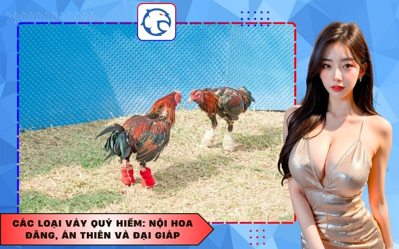 Các loại vảy quý hiếm: Nội hoa đăng, Án thiên và Đại giáp