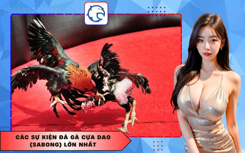 Các sự kiện đá gà cựa dao (Sabong) lớn nhất