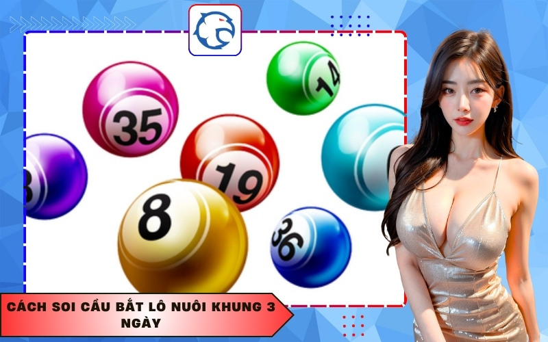 Cách soi cầu bắt lô nuôi khung 3 ngày