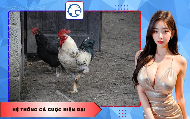 Hệ thống cá cược hiện đại