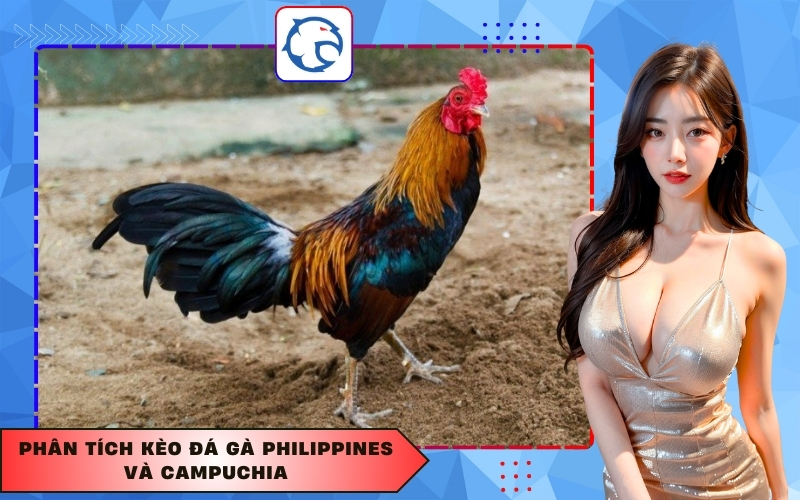 Phân tích kèo đá gà Philippines và Campuchia