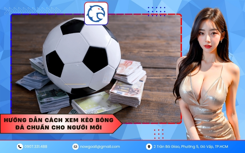 Hướng dẫn cách xem kèo bóng đá chuẩn cho người mới